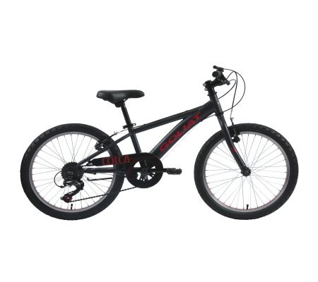 BICICLETA INFANTIL ARO 20 COLCA 