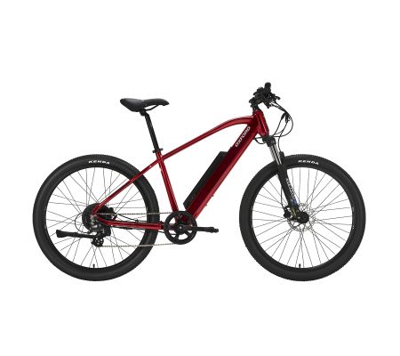 Bicicletas Eléctricas: E Bikes