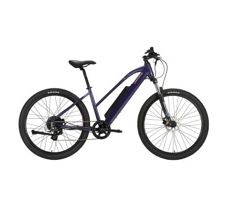 Bicicletas online eléctricas oxford